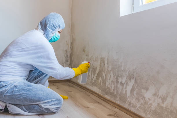Bathroom Mold Removal assessment in Monroe Township bathroom