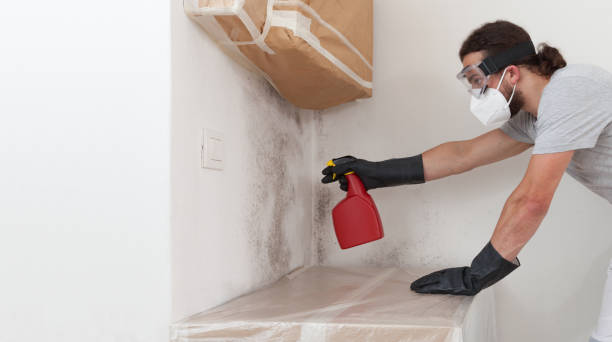 Attic Mold Remediation treatment on roof deck in Monroe Township