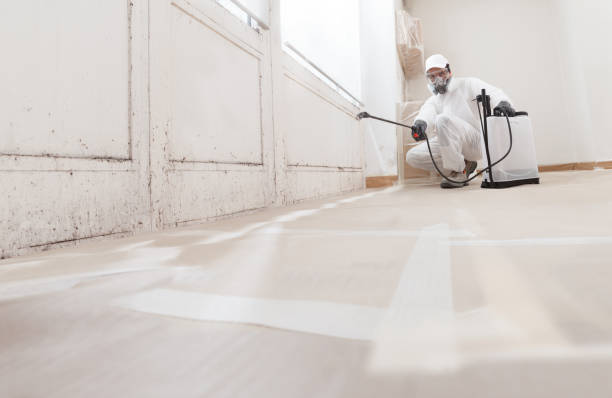 Black mold remediation team in Monroe Township